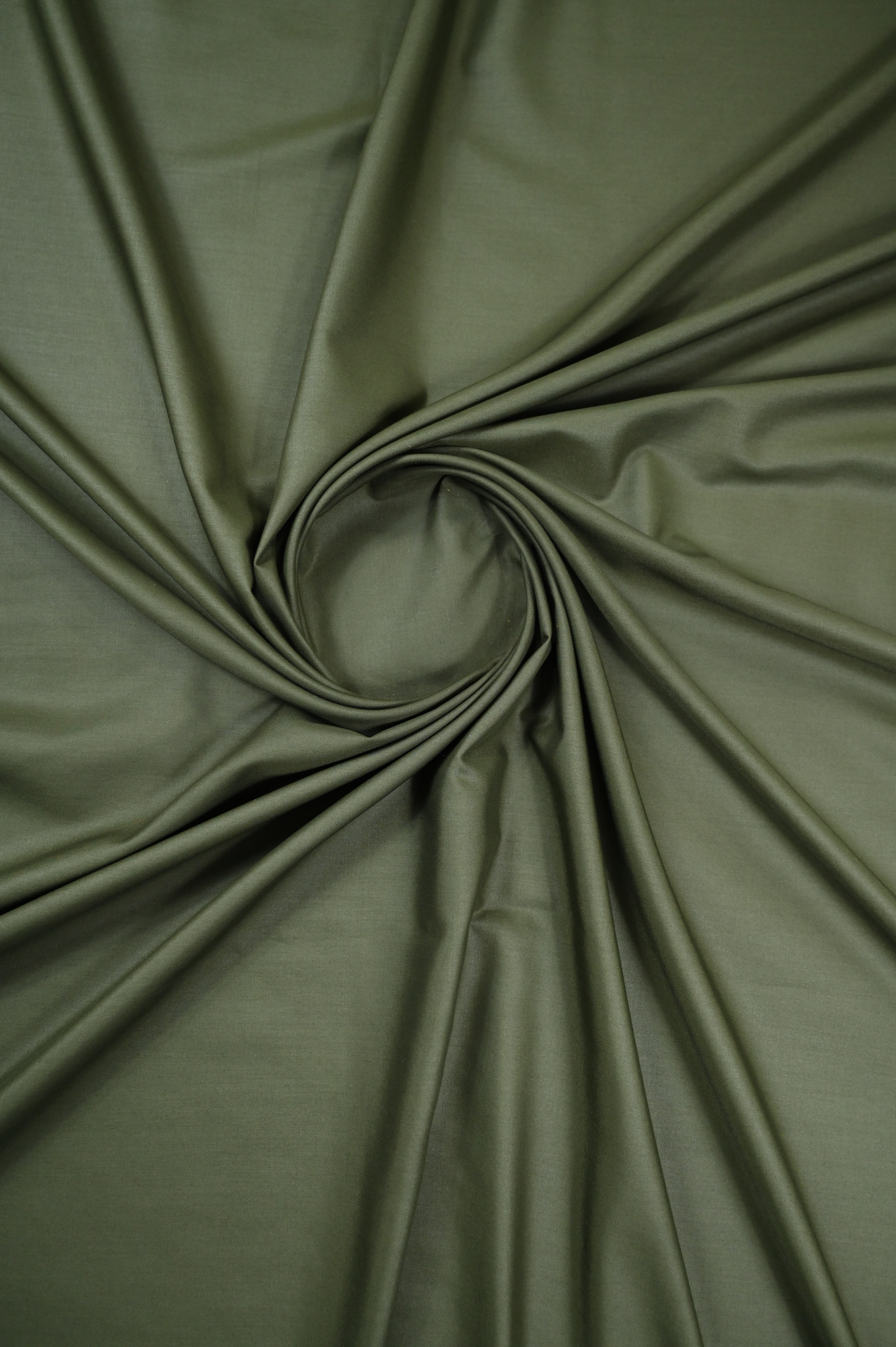 Dollar Olive - Sprucity