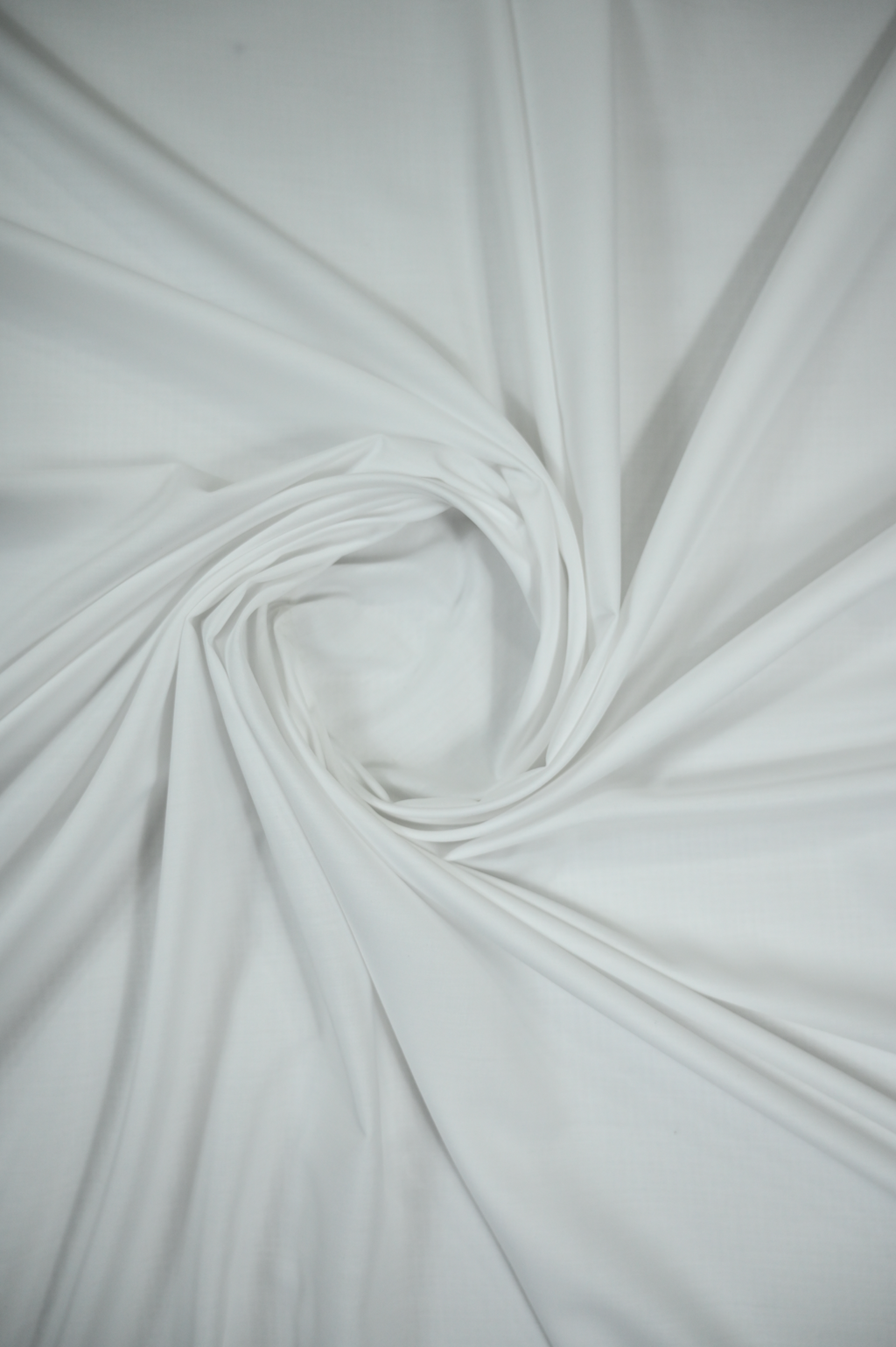 Dollar White - Sprucity