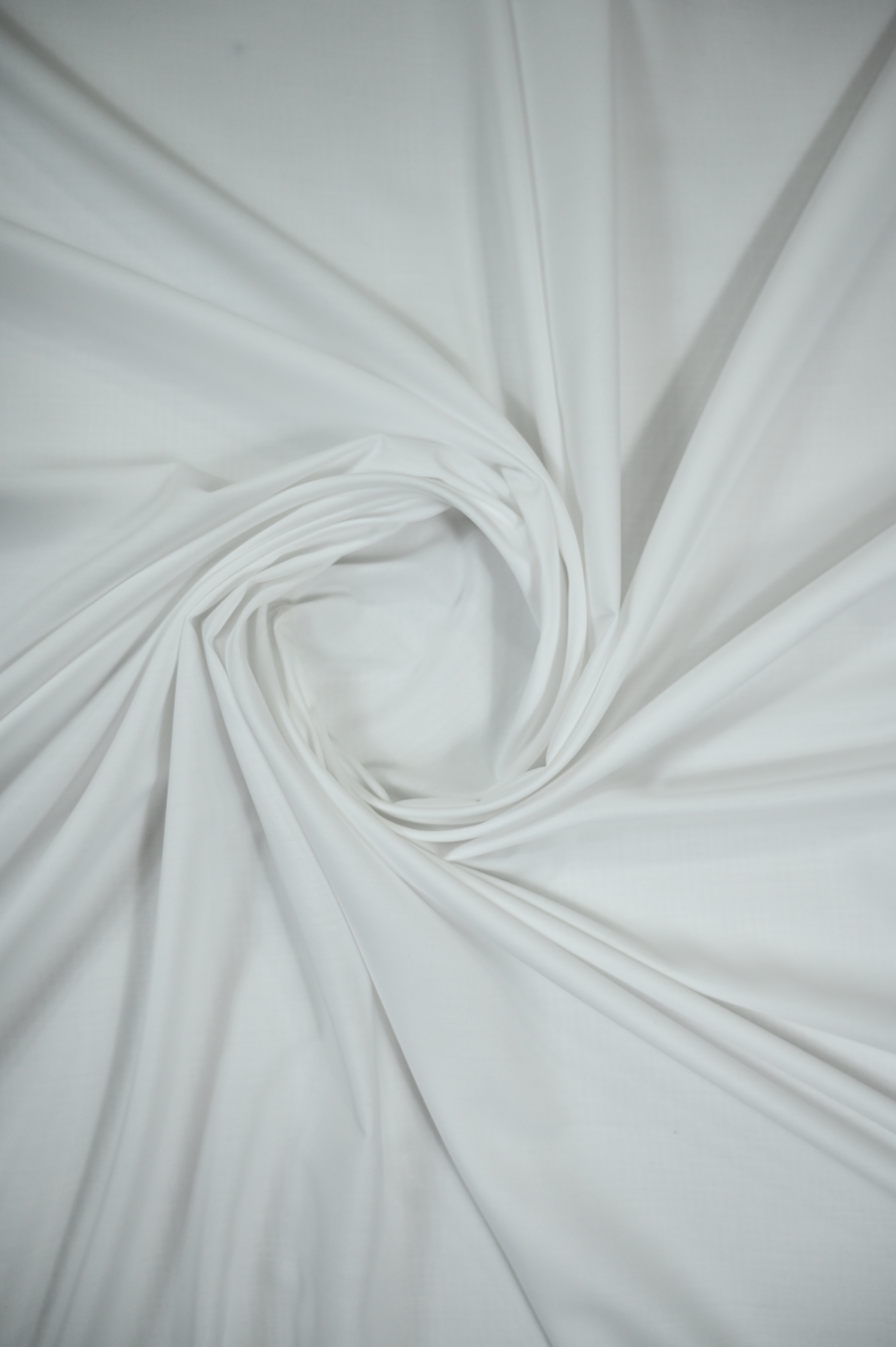 Dollar White - Sprucity